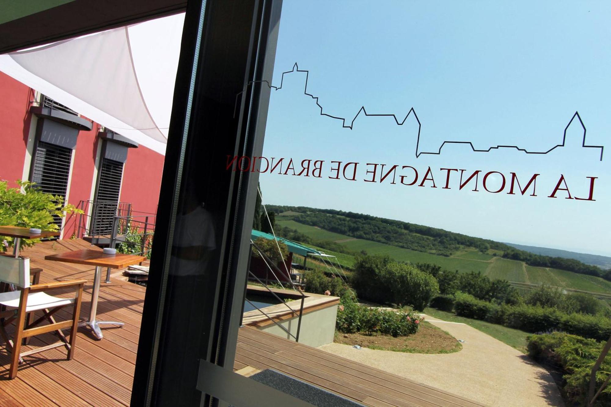 Hotel Restaurant La Montagne De Brancion Martailly-lès-Brancion Eksteriør bilde